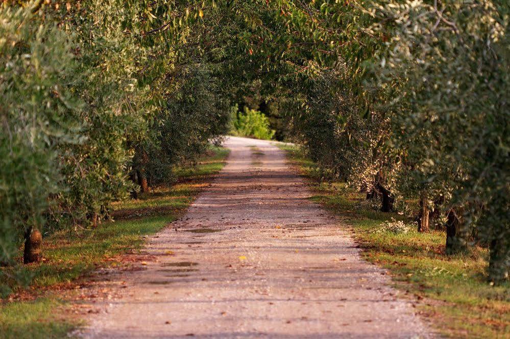 Agriturismo Casagrande Montepulciano Stazione Extérieur photo
